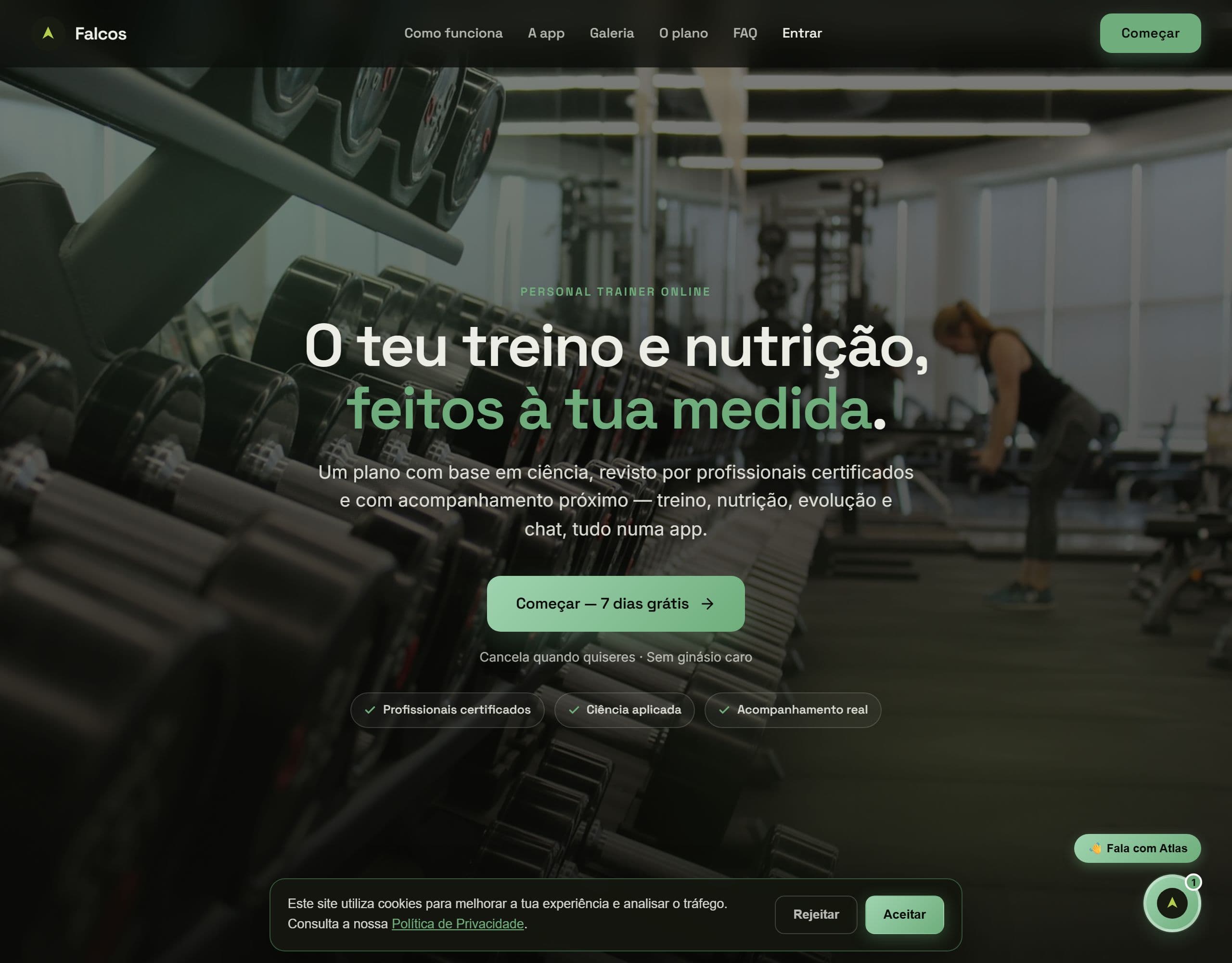 Site App de fitness: falcos.pt